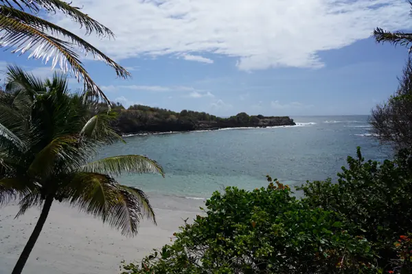 A palm-framed bay on Grenada's eastern coast