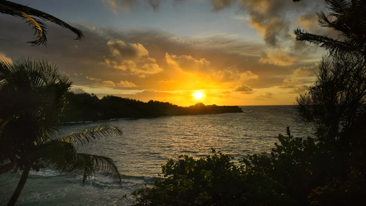 Sunset over the bay through silhouetted palms on Grenada's eastern coast