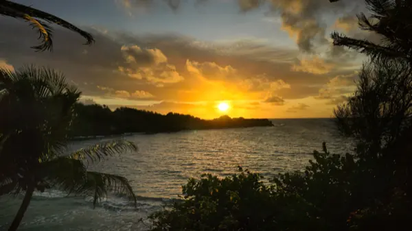 The sun setting over the bay through palm silhouettes