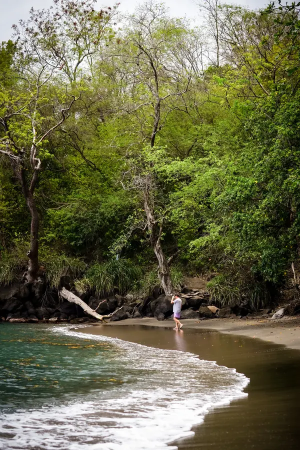 A person walking a secluded dark-sand beach beneath overhanging trees