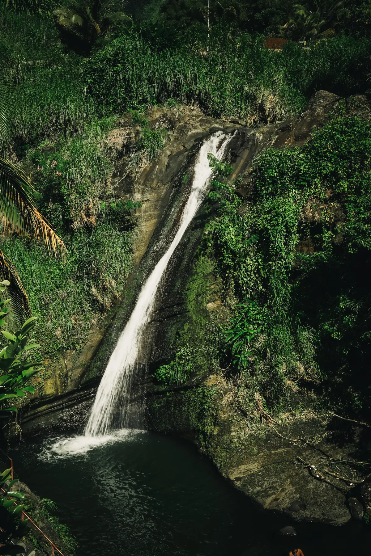 A tall waterfall dropping into a dark jungle pool