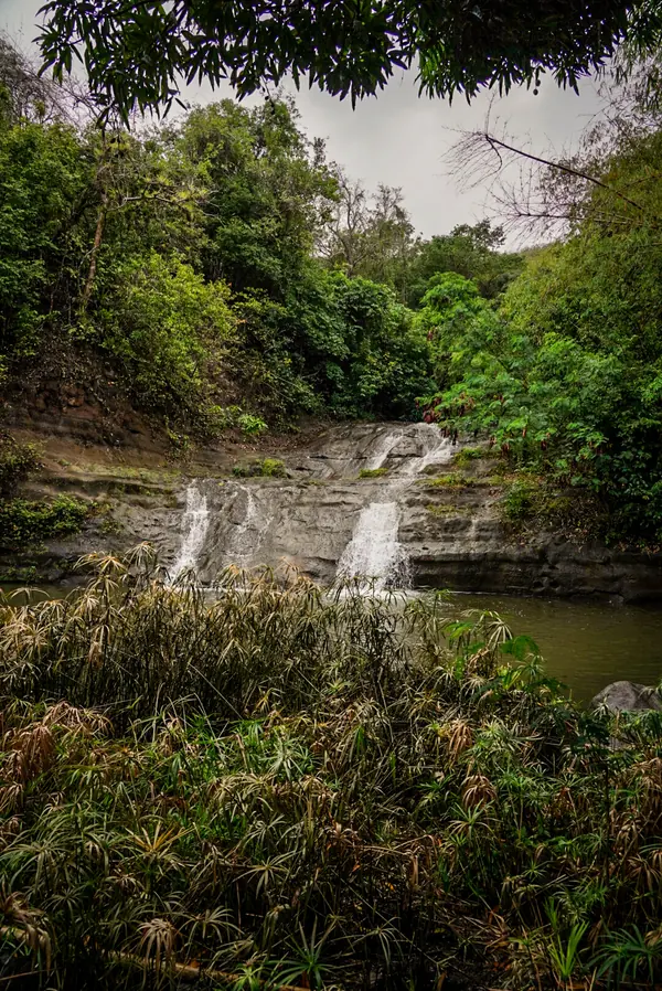 A wide waterfall spilling over a rock face in dense green forest