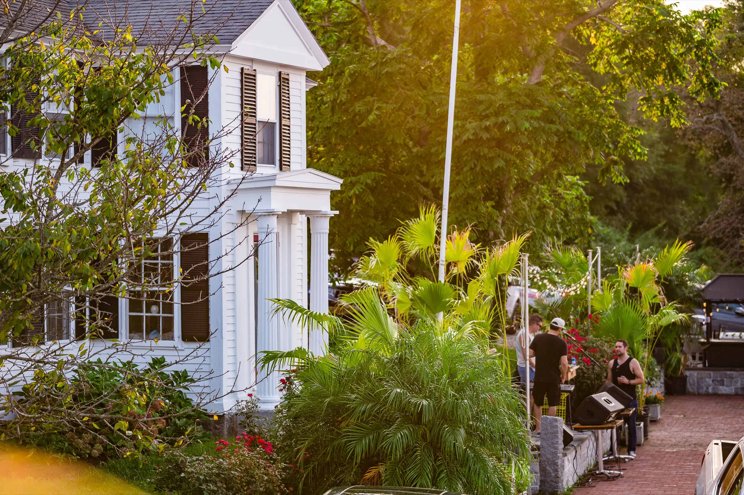 The bed and breakfast cupola rising above the palms in low golden light